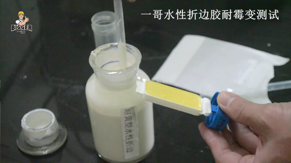 一哥水性折邊膠耐霉變測試