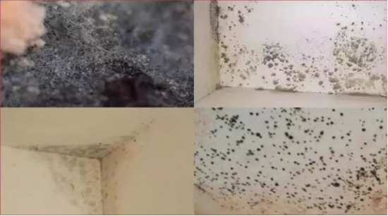 微信圖片_20230318170833