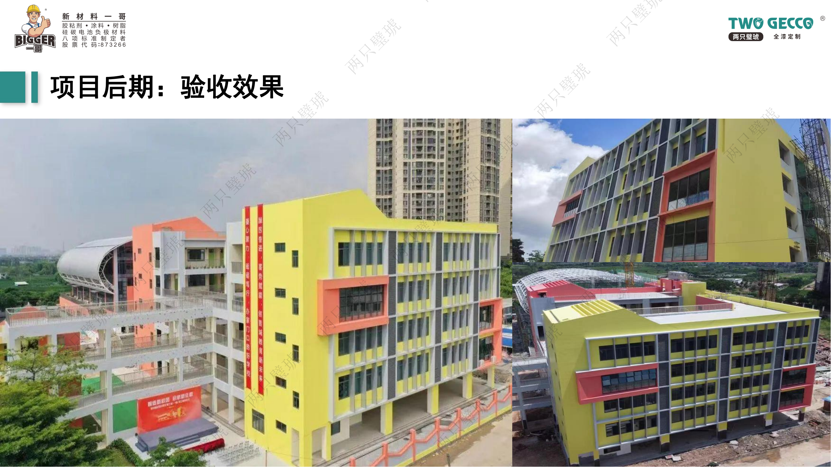 兩只璧琥全漆定制項目前中后解決方案合集_26