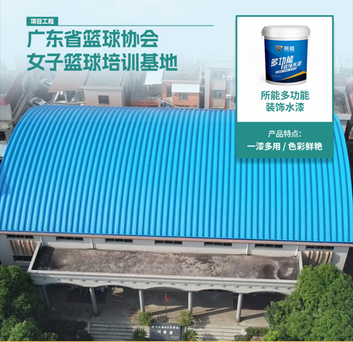 廣東省籃球協(xié)會(huì)女子籃球培訓(xùn)基地