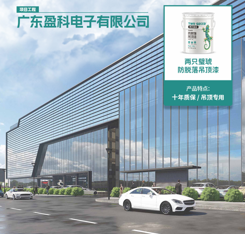 廣東盈科電子有限公司