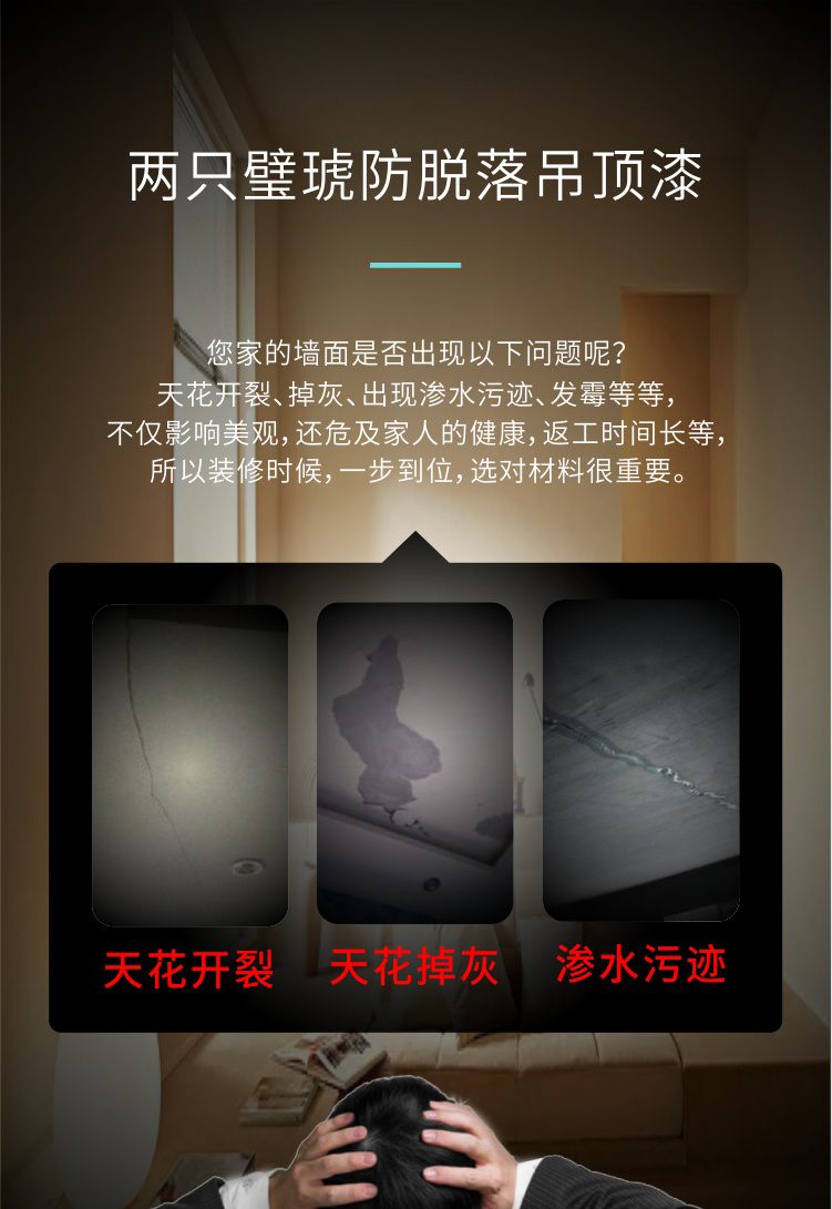 8.兩只璧琥防脫落吊頂漆_01